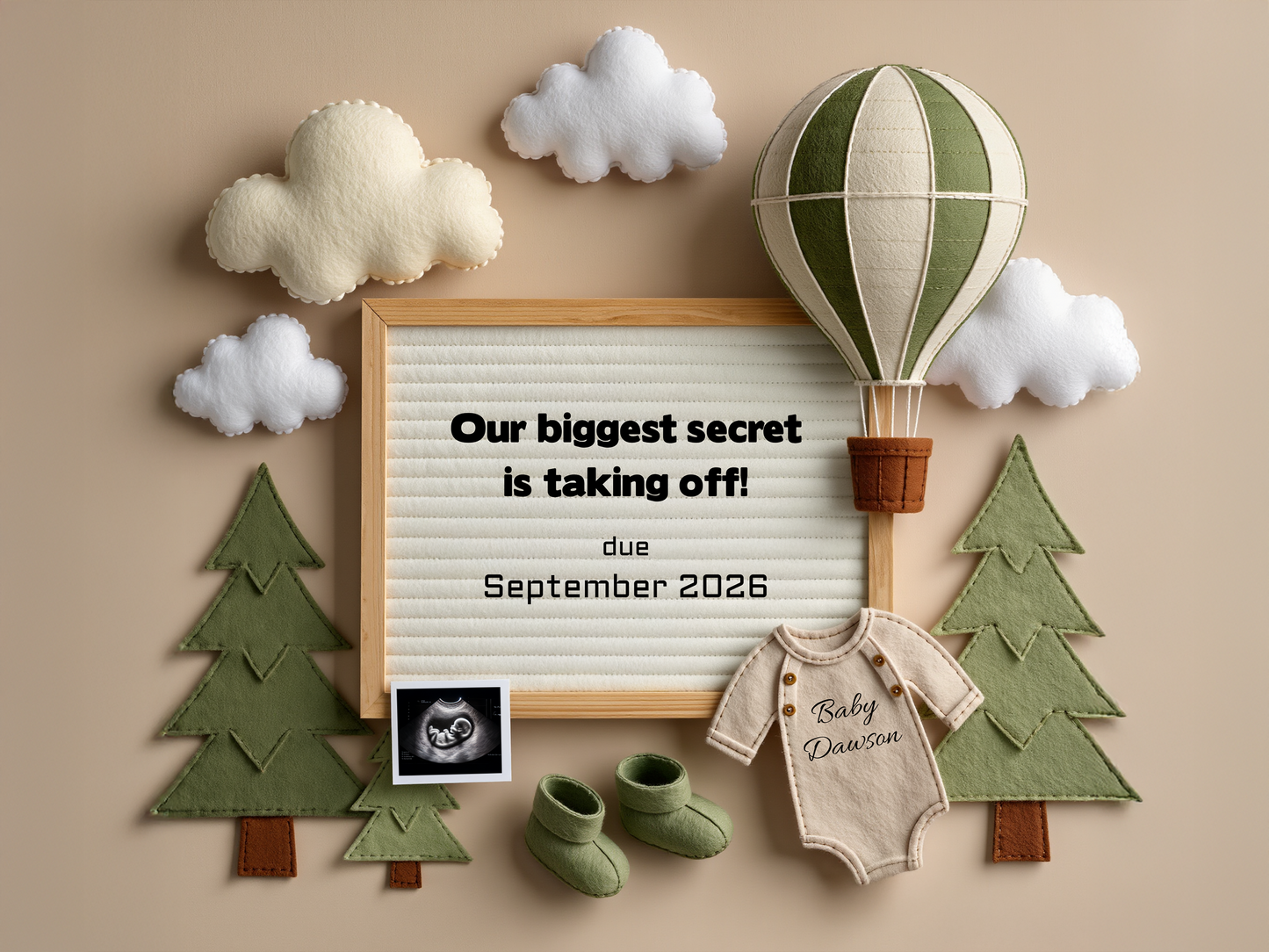 Hot Air Balloon Pregnancy Announcement